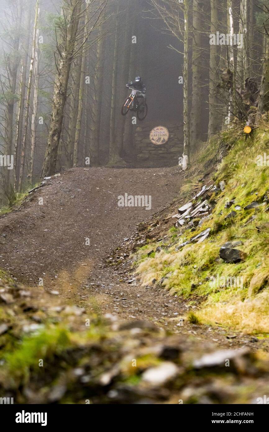 USO EDITORIALE SOLO l'australiano Dave McMillan partecipa alla gara di mountain bike Red Bull Hardline 2019 a Ysgubor, nella Dyfi Valley, Galles. Foto Stock