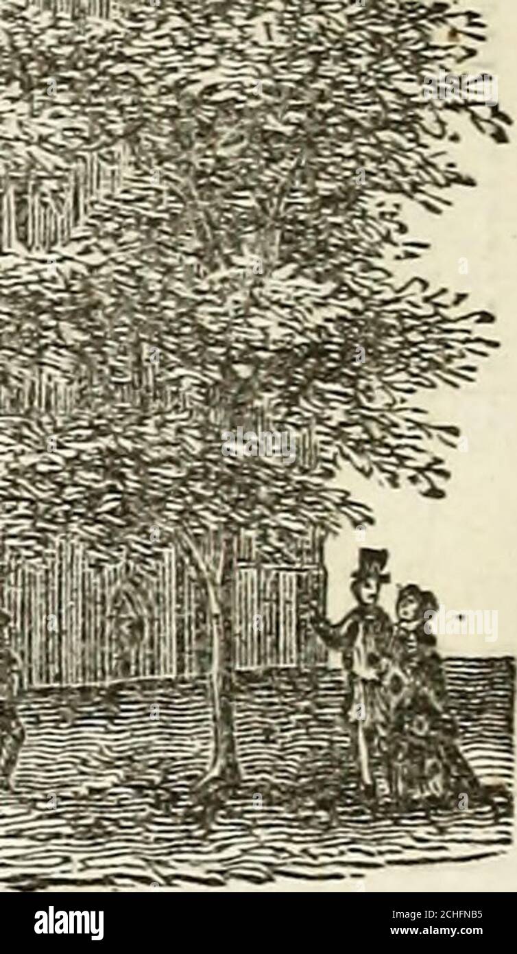 . Manuale della società della città di New York . 261 bo■6d tj OJ (3 oj g 03 o ■/ Ku [jw J-iuJ Toti; S»2a»£WogOog£og -og od^=^sa,?^l^=«2EcS2 -032 o32« 12 111 1 -^ m   yiiJ;i5 iilBi. ACCADEMIA FEEE. BOAED OF EDUCATION OP LA CITTÀ E LA CONTEA DI NEW YORK, composta dai commissari delle scuole comuni, eletti da ogni Ward. Gennaio 1859. Ward COMIIISSIONEES. 1. John 0Grady, Jr., Charles McCay. 2. Jared A. Timpson, James Watson. 3. Hugh G. Crozier, Robert S. Gould. 4. Thomas Fitzgerald, Charles J. Dougherty.6. William B. desideroso, Jr., James M. Tuthill.6. Richard Barry, Michael Begg. DI SC COMUNE Foto Stock