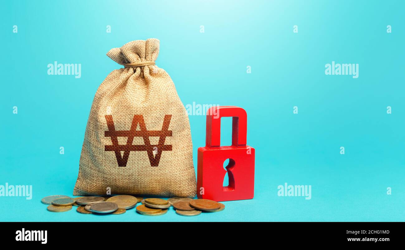La corea del Sud ha vinto una borsa di denaro e un lucchetto rosso. Blocco dei conti bancari e sequestro di attività. Stretto controllo del governo sul sistema finanziario. Flusso di cassa m Foto Stock