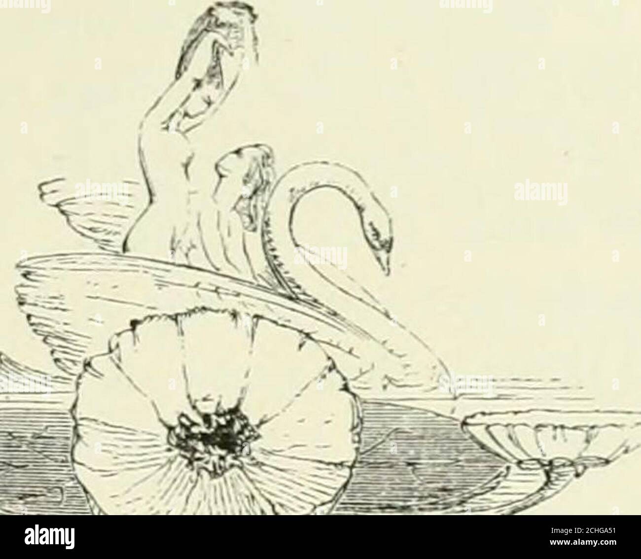 . Vigilia di metà estate : una favola di amare e di essere amati . •■« disegnato da F. W. Hulme. Engnavcd di Joseph Williams. LA VISITA AI MALATI.. PARTE IL FOUETH. Malattia LUNGA e pericolosa, della durata di molti mesi, confinò Lady Elizabeth Talbot alla solitudine di Ard-Flesk; e, molto per la sua gioia, Cormac, il suo amato, ma più viandante, figlio (invece di andare all'estero, Ashe aveva, dopo molto entreaty, acconsentito che lui dovrebbe),ha dichiarato il suo desiderio di rimanere con lei ; L'opinionof Sidney non fu chiesto: In tutte le cose egli si era supposto essere l'ombra del cugino. Amared cambiamento era venuto sopra questi giovani;ogni h Foto Stock