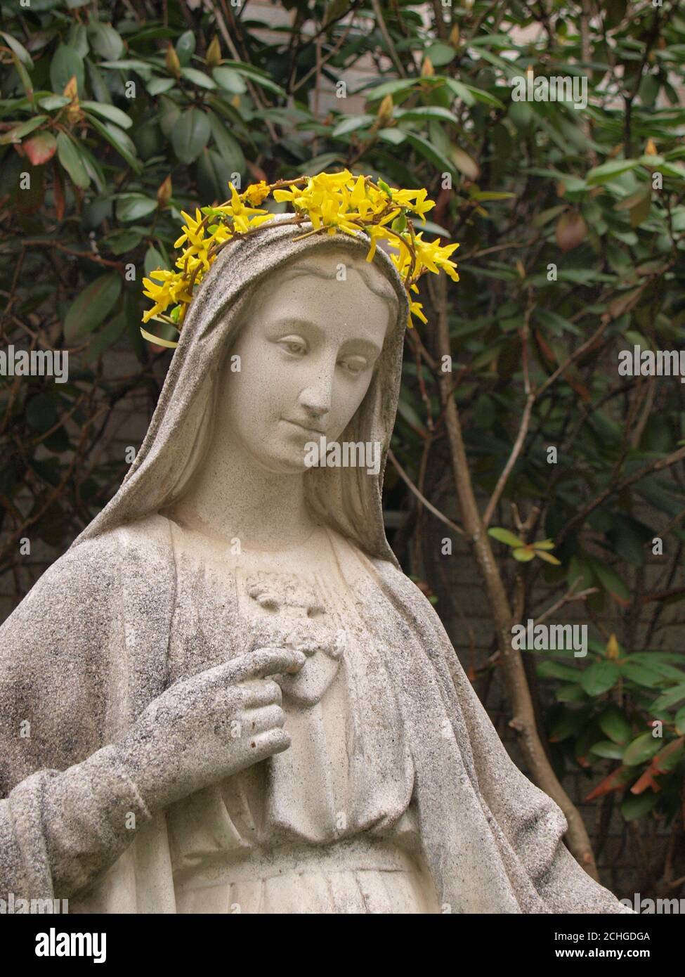 Una statua della Vergine Maria è stata data a. corona di fiori di forsizia in una cerimonia devozionale chiamata il L'incoronazione della Madonna di solito a maggio Foto Stock