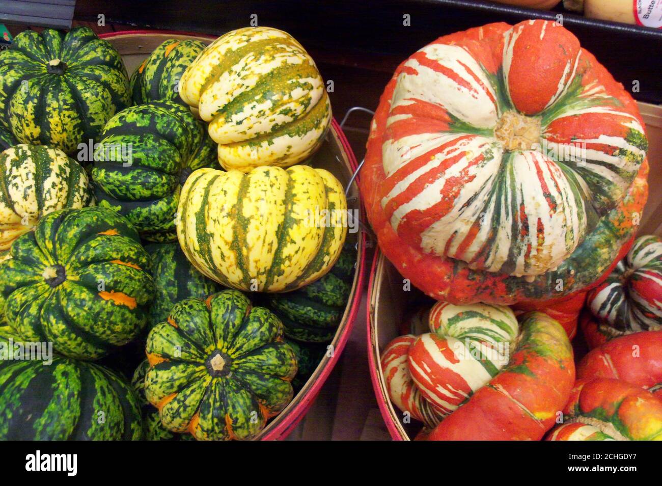 Zucca e zucca d'autunno e d'inverno colorate in un americano mercato agricolo compreso heirloom turban squash in un cestino Foto Stock