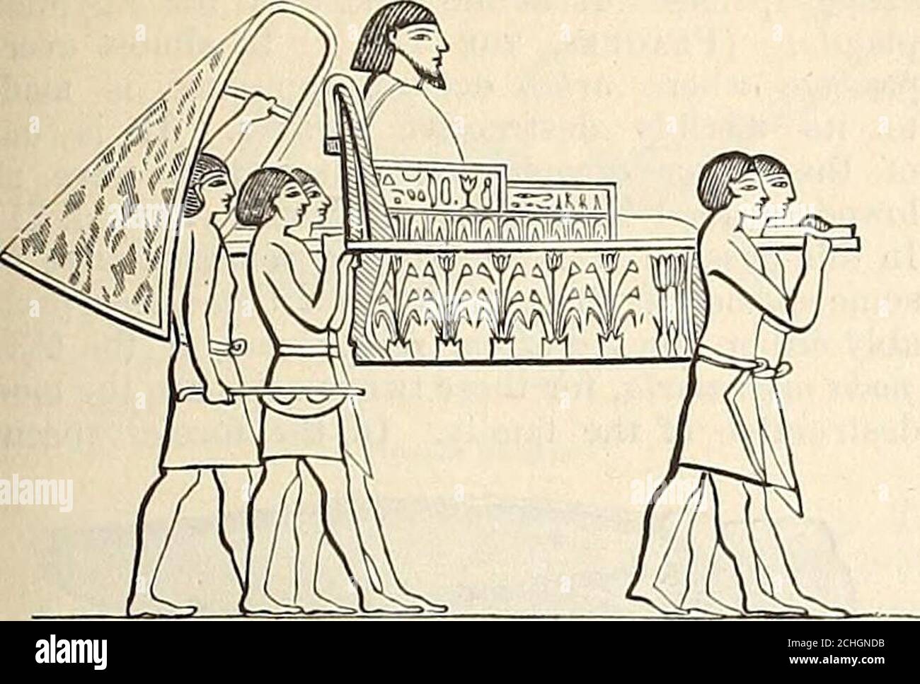 Leone Persiano Immagini E Fotos Stock Alamy