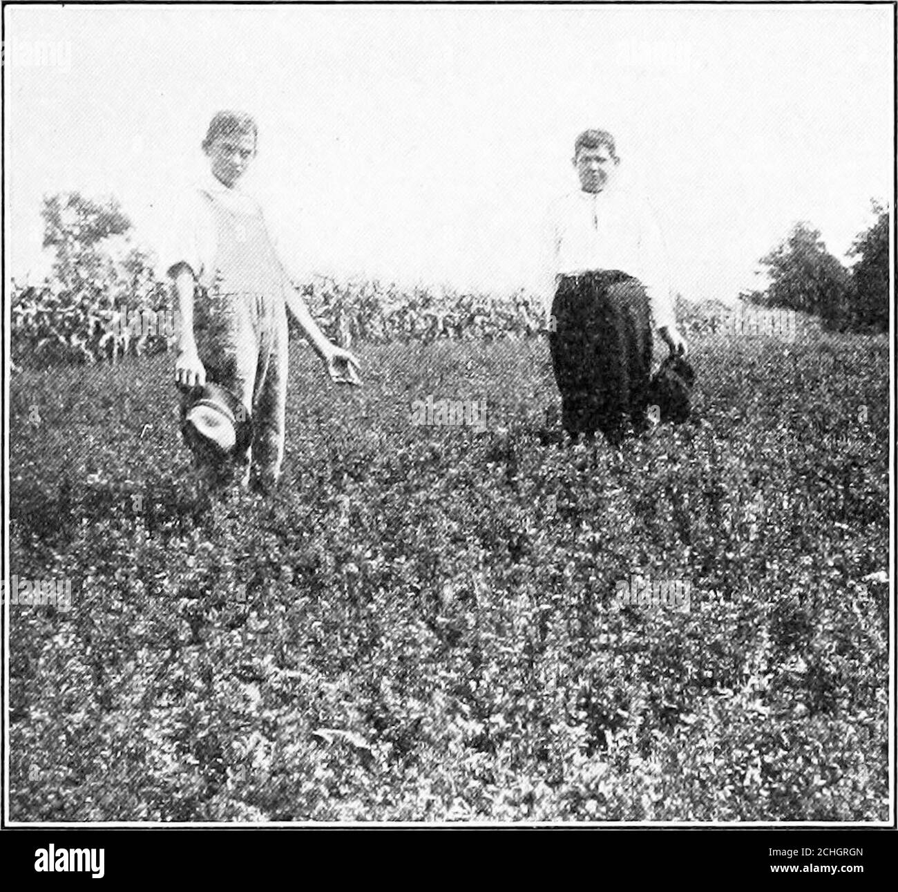 . Comunità civica . il suolo. Il ricco blackloam è lavato via dai torrenti. Questo grande spreco può essere visto nel modo in cui il MississippiRiver si riempie alla sua bocca con il terreno lavato fromthe fattorie lungo la sua valle. In paesi che si allontanano, come la Cina e il Giappone, la gente ha imparato di più sulla necessità di prendersi cura del suolo, e terrazze le loro colline in modo che non un terreno partcleof è lavato via. Alberi piantati su colline depastures aiutare, anche, per prevenire il lavaggio via. 3. La rotazione dei raccolti aiuta a mantenere il SoilFertile. Ogni genere di raccolto prende dai generi soilcertain di Foto Stock