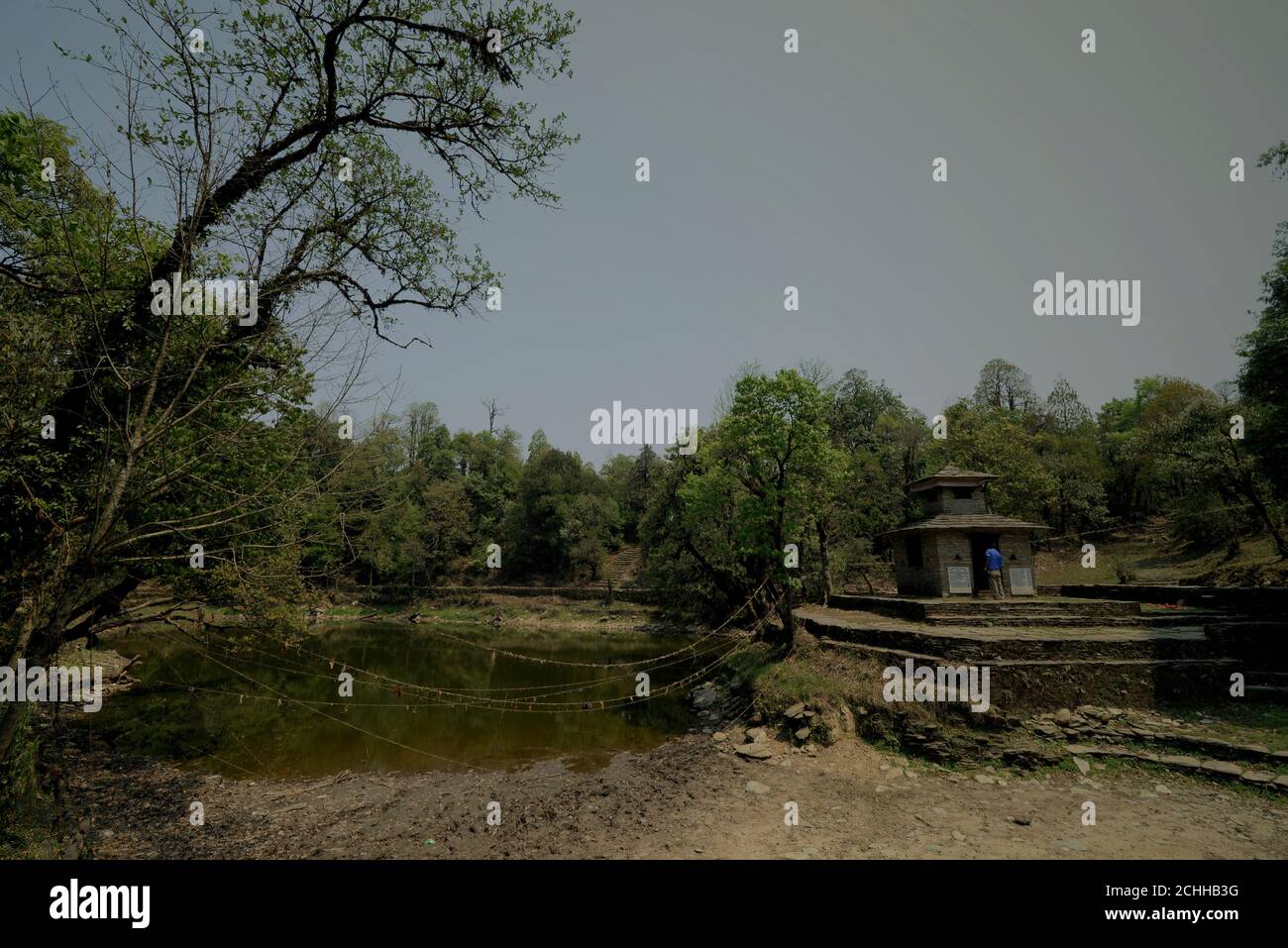 Il laghetto di essiccazione di Panchase e Shrawan Kumar santuario in cima alla montagna Panchase nella provincia di Gandaki Pradesh, Nepal. Foto Stock