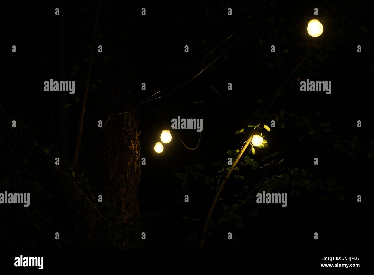 Luci notturne delle lampade al parco Foto Stock
