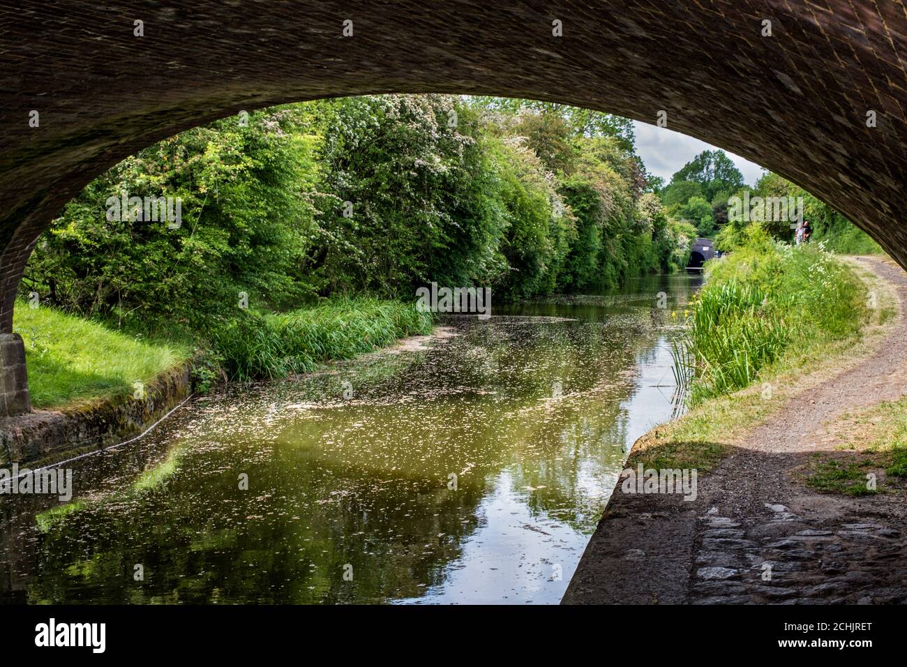 Sotto il ponte n. 72 attraverso il Canal Grande Union, il portale sud-est del tunnel di Saddam in lontananza, Leicestershire, Inghilterra, Regno Unito Foto Stock