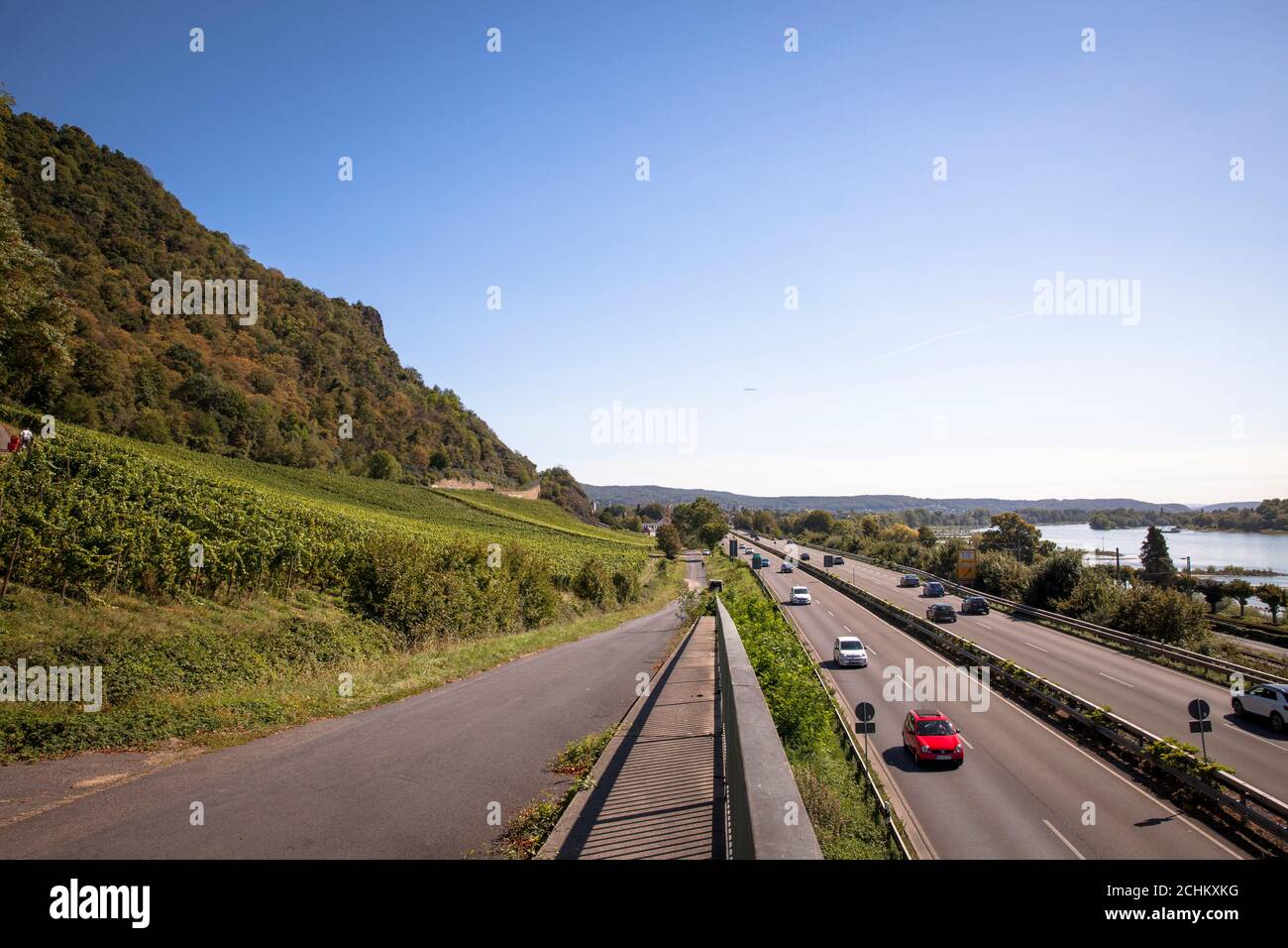 Viticoltura sulla collina di Drachenfels tra Koenigswinter e Bad Honnef, strada federale 42 e Reno, Nord Reno-Westfalia, Germania. Weinanbau am Dr Foto Stock