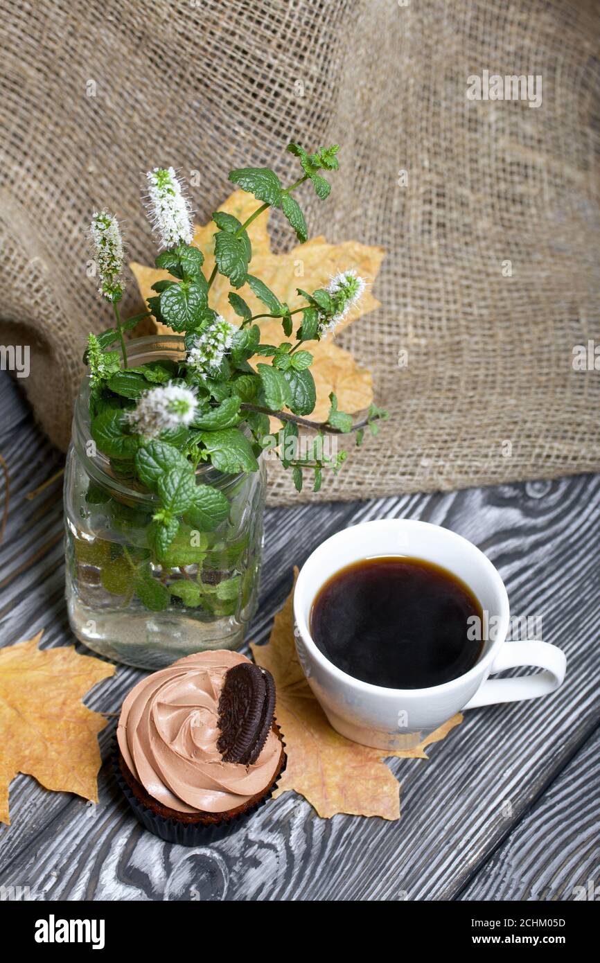 Cupcake al cioccolato con crema di formaggio. Nelle vicinanze si trova una tazza di caffè e foglie di acero essiccate. C'è un vaso con ciuffi fioriti di menta. Foto Stock