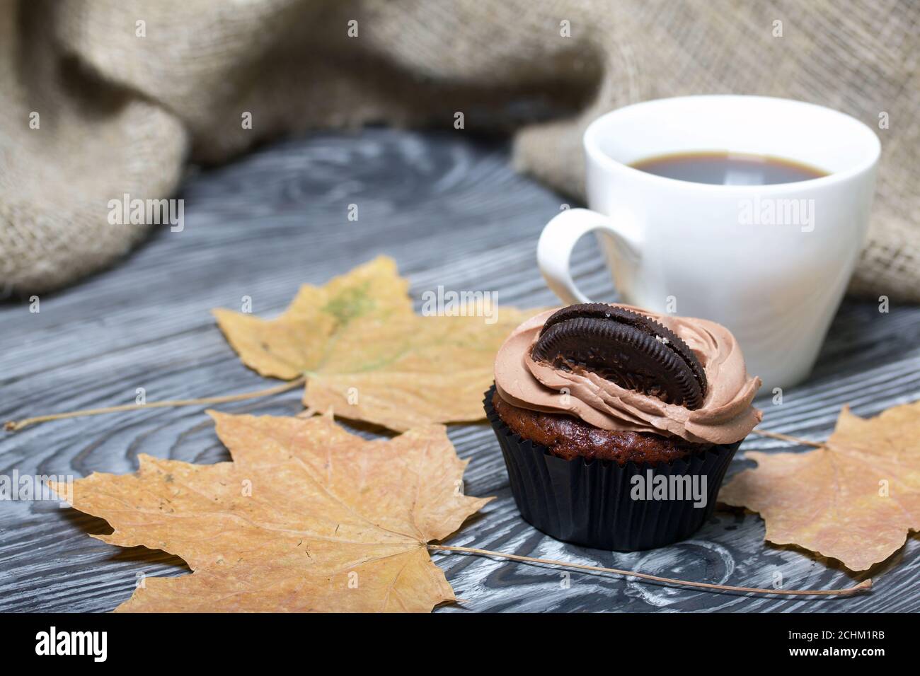Cupcake al cioccolato con crema di formaggio. Nelle vicinanze si trova una tazza di caffè e foglie di acero essiccate. Su tavole di pino verniciate in bianco e nero. Foto Stock
