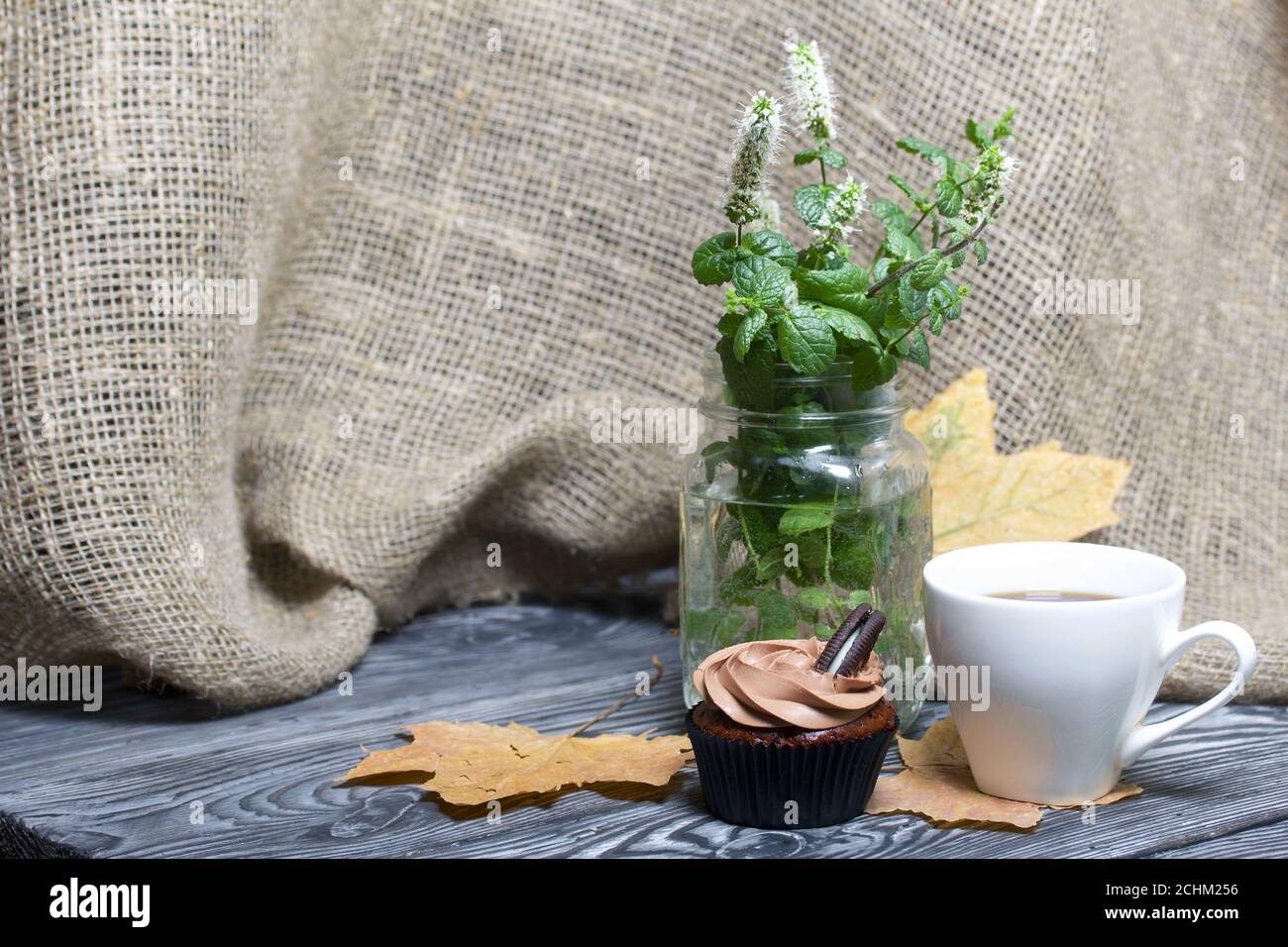 Cupcake al cioccolato con crema di formaggio. Nelle vicinanze si trova una tazza di caffè e foglie di acero essiccate. C'è un vaso con ciuffi fioriti di menta. Foto Stock