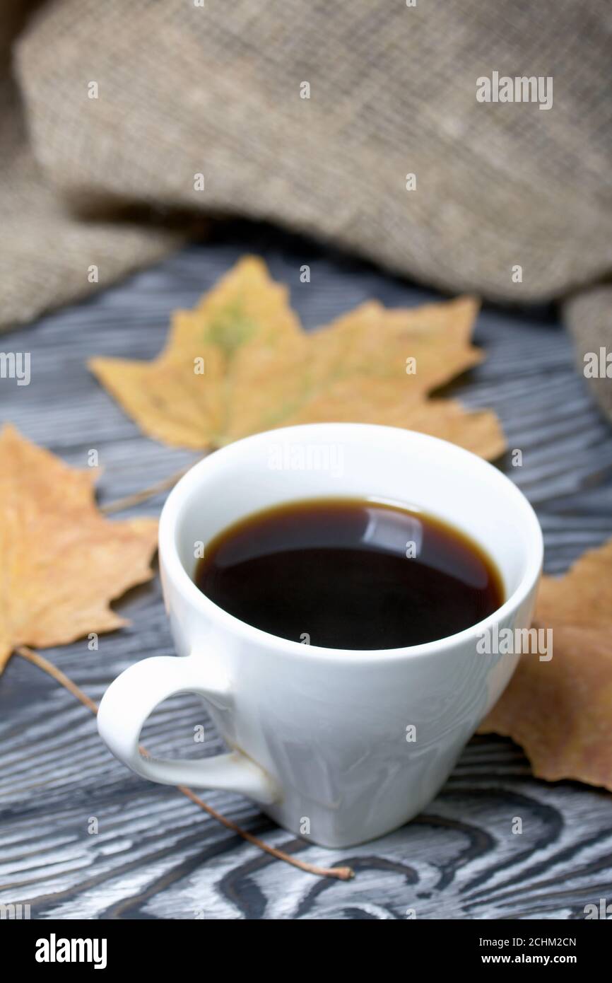 Una tazza di caffè tra foglie di acero secche. Su tavole di pino verniciate in bianco e nero. Nelle vicinanze si trova un panno di lino ruvido. Foto Stock