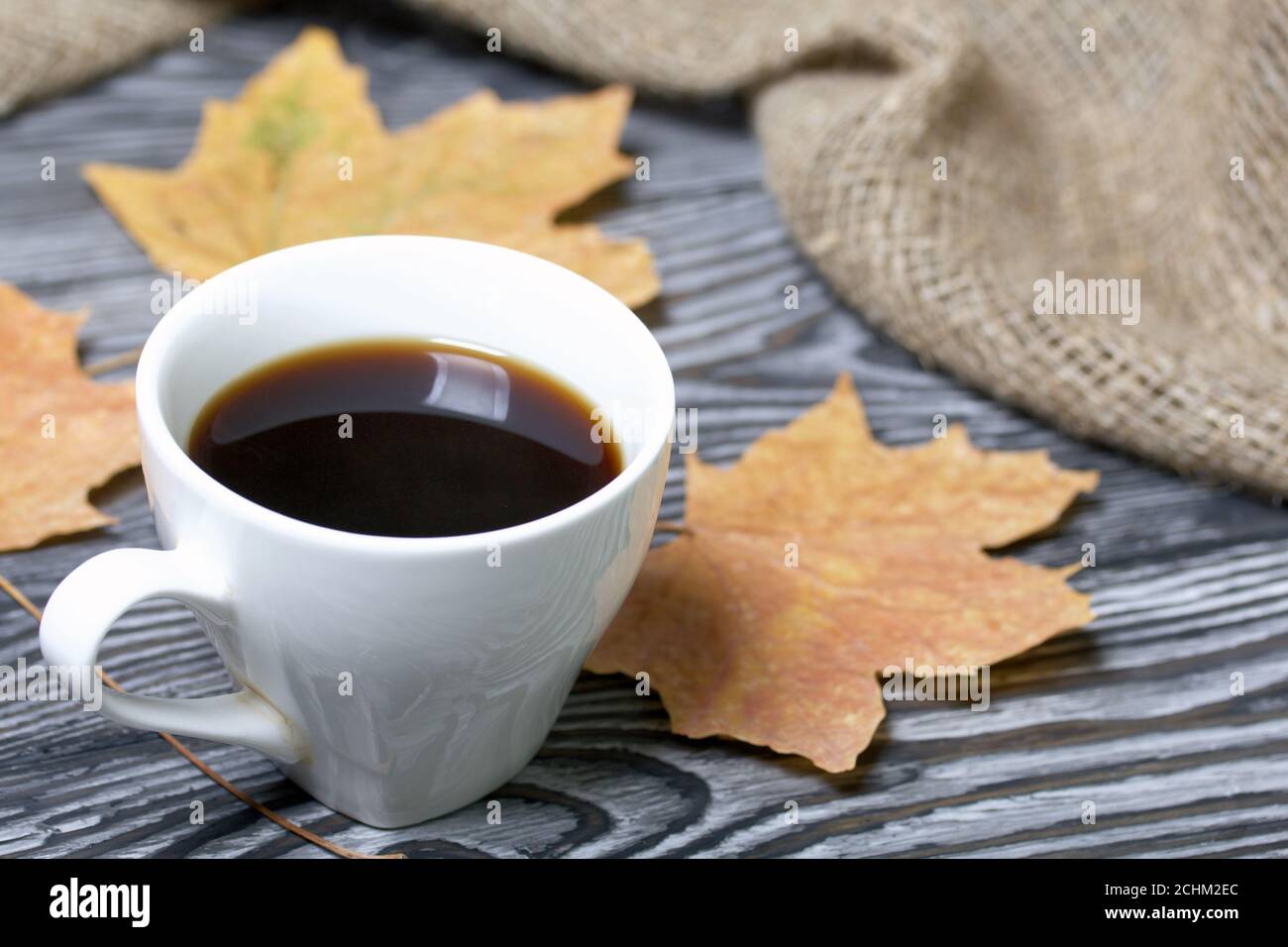 Una tazza di caffè tra foglie di acero secche. Su tavole di pino verniciate in bianco e nero. Nelle vicinanze si trova un panno di lino ruvido. Foto Stock