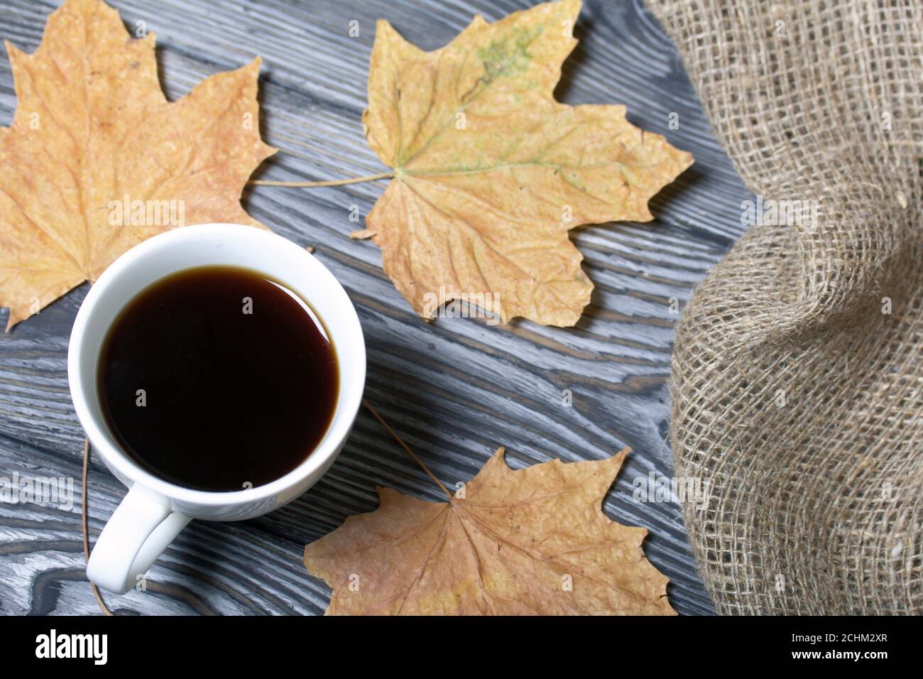 Una tazza di caffè tra foglie di acero secche. Su tavole di pino verniciate in bianco e nero. Nelle vicinanze si trova un panno di lino ruvido. Foto Stock