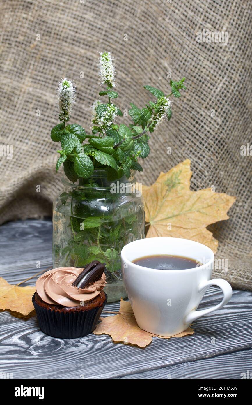 Cupcake al cioccolato con crema di formaggio. Nelle vicinanze si trova una tazza di caffè e foglie di acero essiccate. C'è un vaso con ciuffi fioriti di menta. Foto Stock