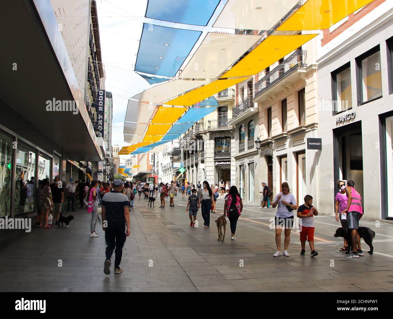 ASR Animal Soul Rescue Asociacion Protectora Animal rescue organizzazione cercando Per volontari e donazioni per aiutare i cani maltrattati Madrid Spagna Foto Stock