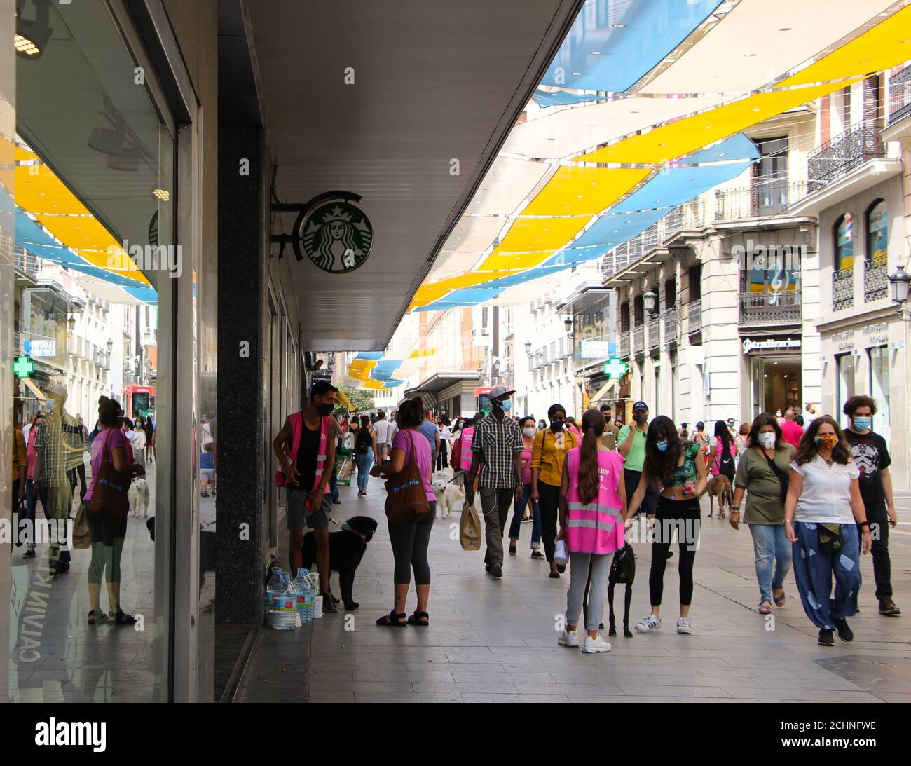 ASR Animal Soul Rescue Asociacion Protectora Animal rescue organizzazione cercando Per volontari e donazioni per aiutare i cani maltrattati Madrid Spagna Foto Stock