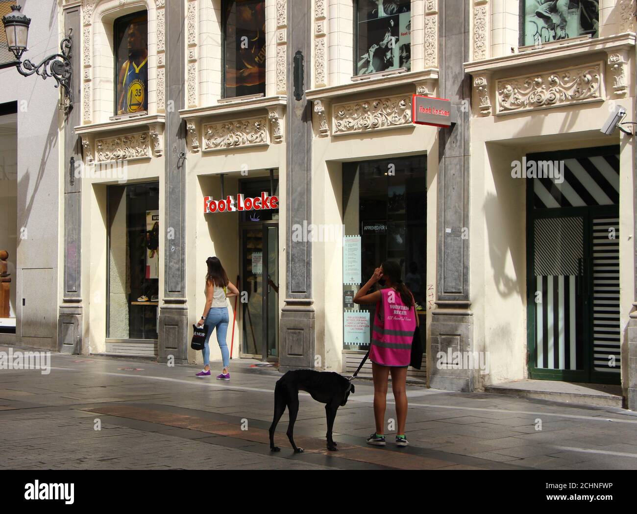 ASR Animal Soul Rescue Asociacion Protectora Animal rescue organizzazione cercando Per volontari e donazioni per aiutare i cani maltrattati Madrid Spagna Foto Stock