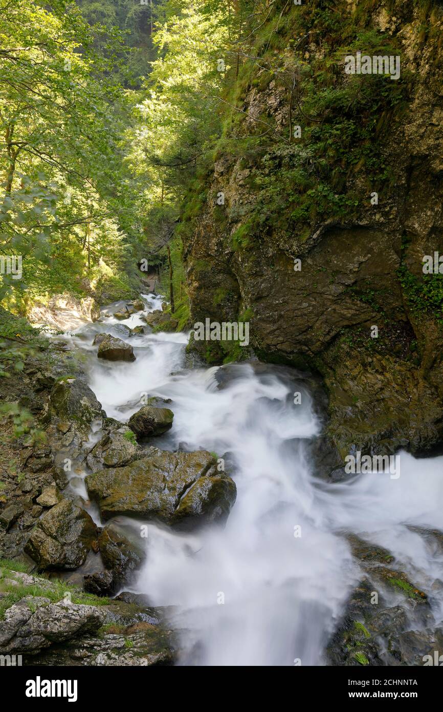 La cascata del torrente Treffling in bassa Austria, Mostviertel Foto Stock