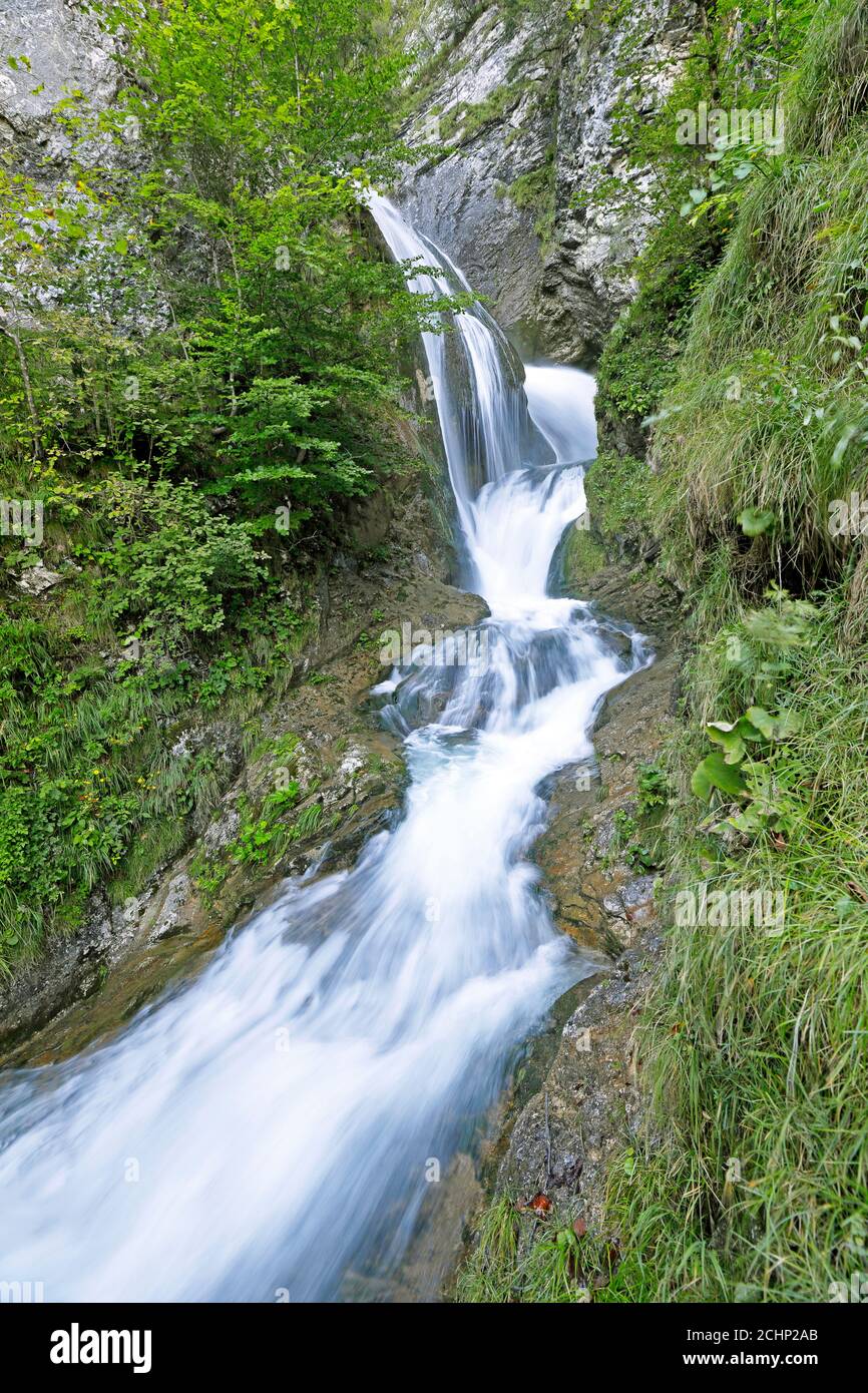 La cascata del torrente Treffling in bassa Austria, Mostviertel Foto Stock