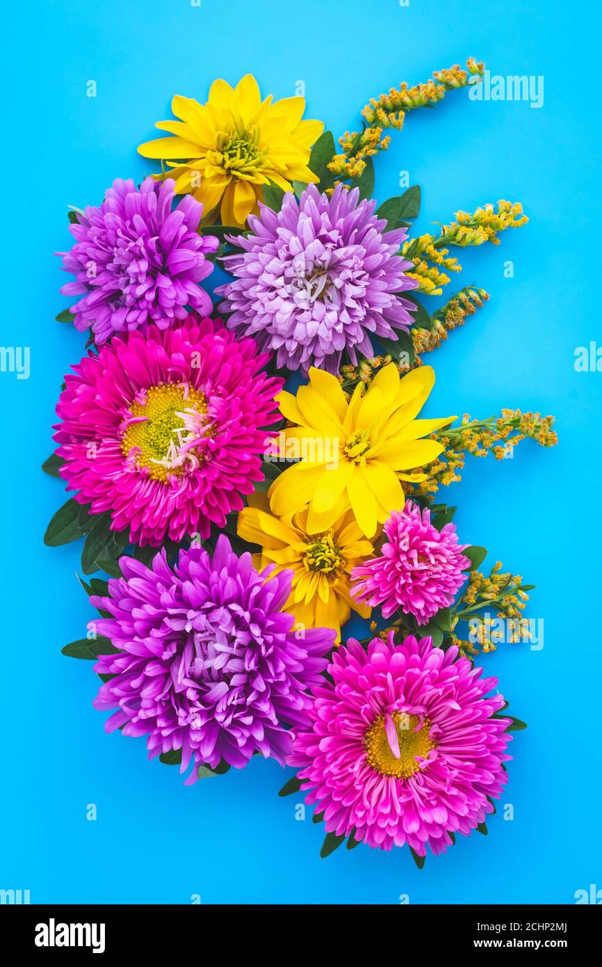 Un bouquet di fiori, cartolina floreale blu con cerotti viola e margherite gialle selvatiche. Decorazione per le vacanze. Biglietto d'auguri natalizio, sfondi. Ancora l Foto Stock