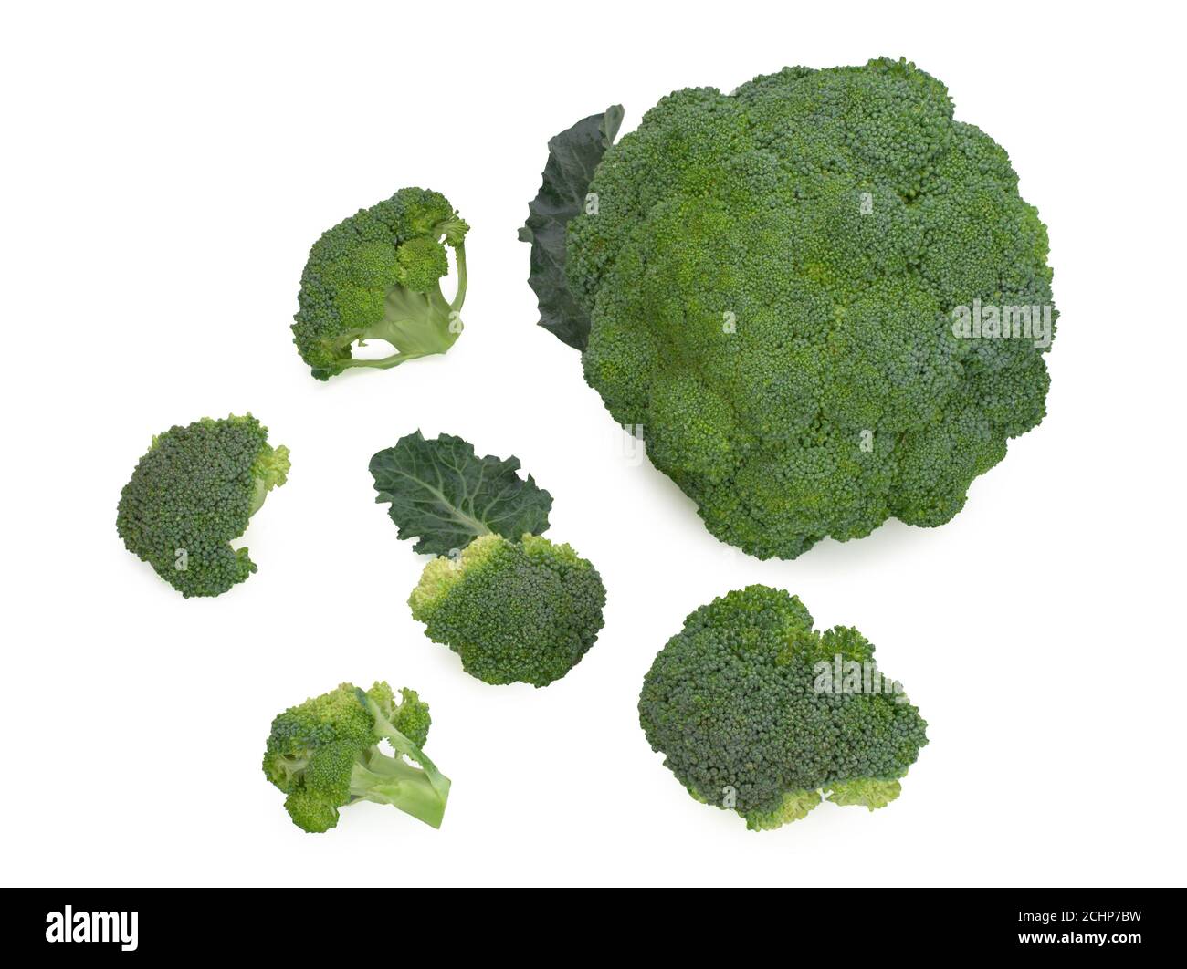 Broccoli freschi isolati su sfondo bianco Foto Stock