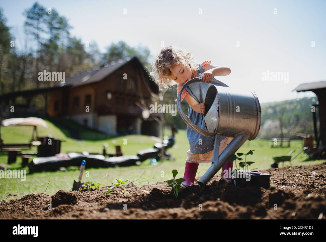 Piccola ragazza che innaffia all'aperto in giardino, concetto di stile di vita sostenibile. Foto Stock