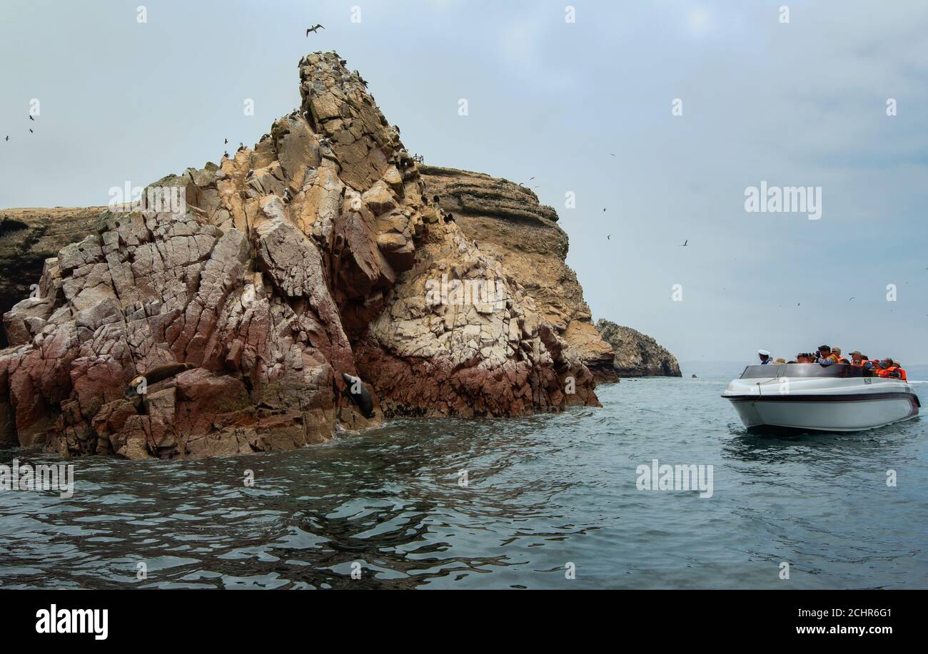 Formazione rocciosa, grotte marine, archi e scogliere alle stelle, Paracas National Reserve, Isole Ballestas, Perù, Sud America Foto Stock