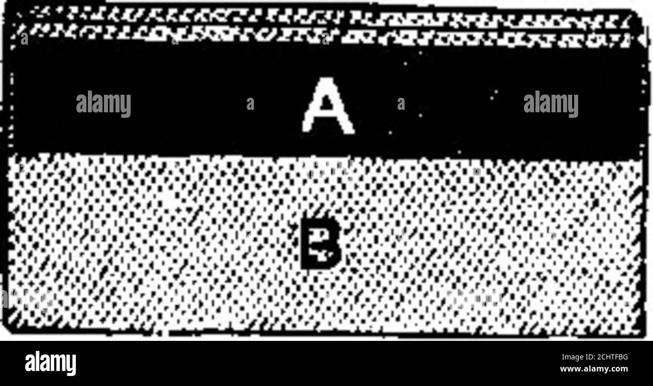 Volume americano scientifico 51 numero 15 (Ottobre 1884) . le ...