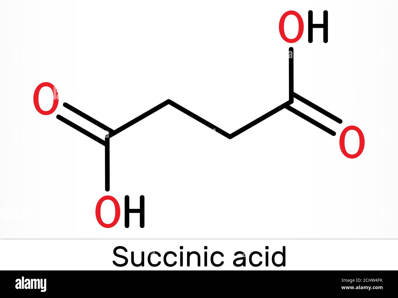 Acido succinico, acido butandioico, molecola C4H6O4. È additivo alimentare E363. L'anione, succinato, è componente di acido citrico o TCA. Prodotti chimici scheletrici Foto Stock