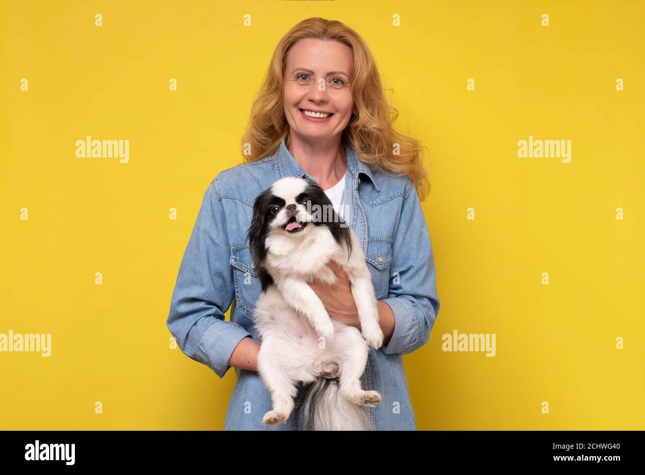 donna caucasica che regge e conforto cane giapponese mento. Foto Stock