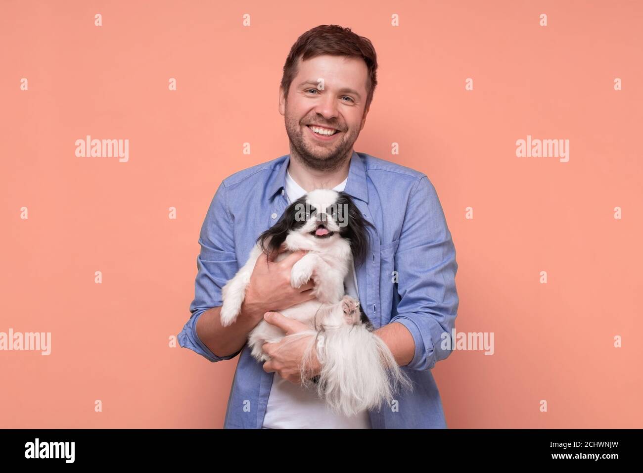 Felice uomo caucasico che tiene e conforting carino cani per animali domestici giapponese mento Foto Stock
