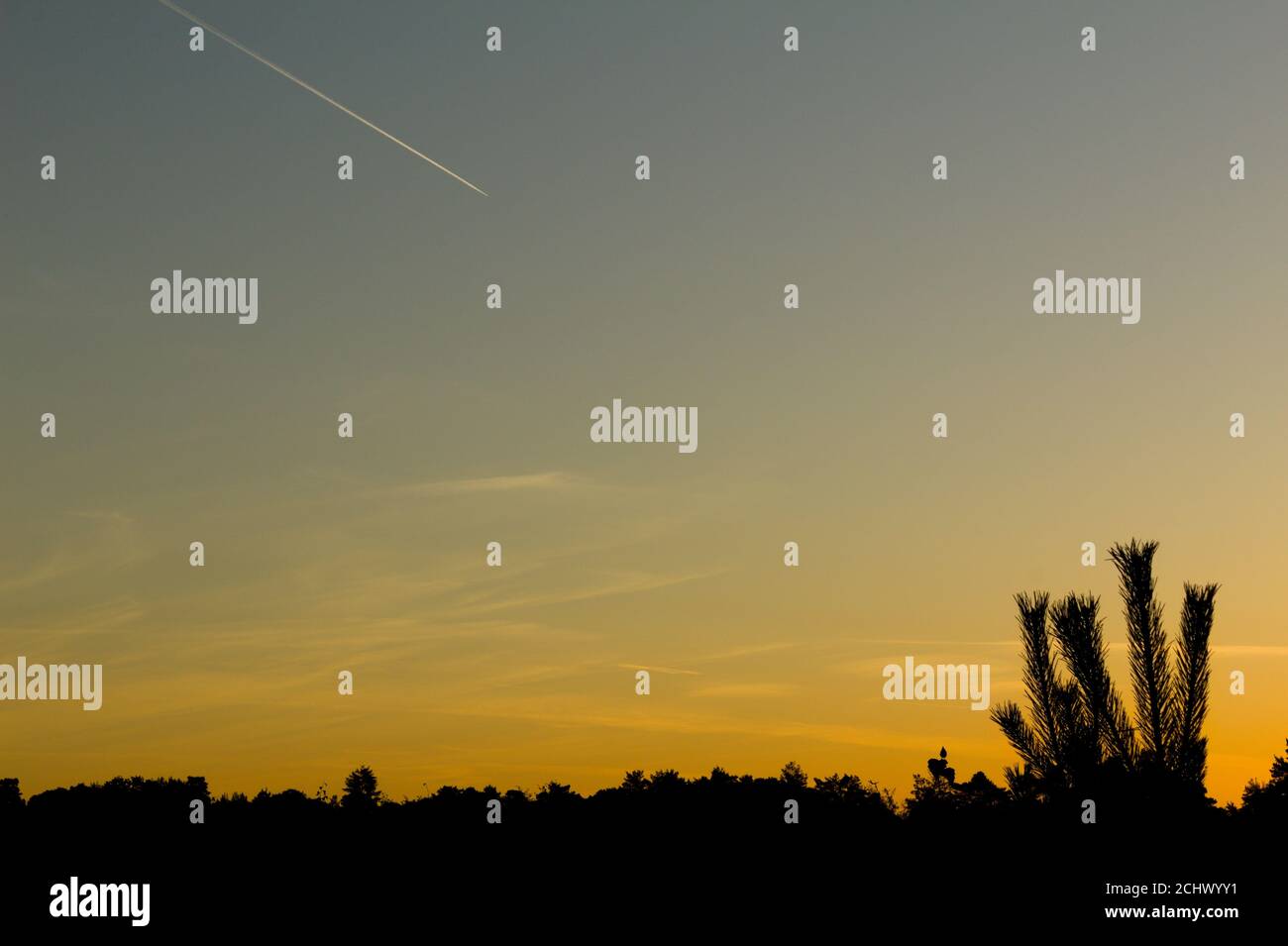 sunrise sky plane trail silhouette Foto Stock