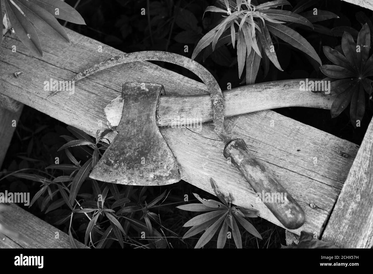 La vecchia falce e l'ascia da banco sono sul gradino di legno all'aperto, concetto, bianco e nero Foto Stock