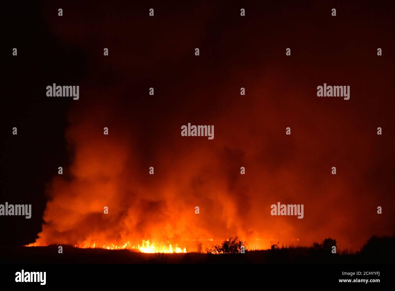 Fuoco di foresta di notte, immagine iso alta. Fumo e fuoco nella foresta Foto Stock