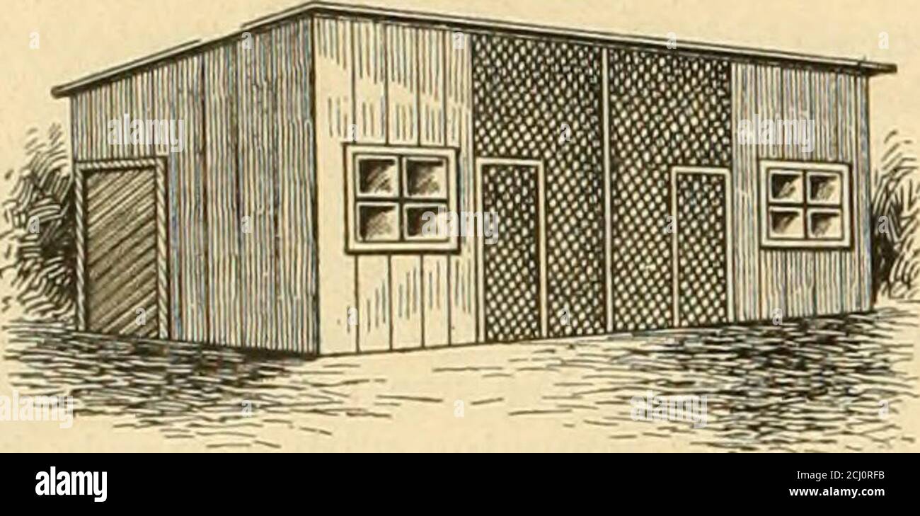 . Il bantam fowl; una descrizione di tutte le razze standard e varietà di bantam, e di nuove razze che stanno diventando popolari .. . 62 LA FARAONA DI BANTAM.. FIG. 3 – AVICOLO CASA CON PERCORSO COPERTO, hanno così grandi, ma troppo non si può dire a favore di quarti di Bantams. Molti dei t:-oubles di pollame-uomini possono essere tracciati a quarti umidi. La ventilazione domuch per rimediare a questo, ma il drenaggio deve essere buono e thewater deve essere diretto via dalla casa. Un po' di pensiero in questo particolare risparmierà molta preoccupazione. Li abbiamo avehad dormire di notte in una scatola del deposito fissata per il loro conven- i n Foto Stock