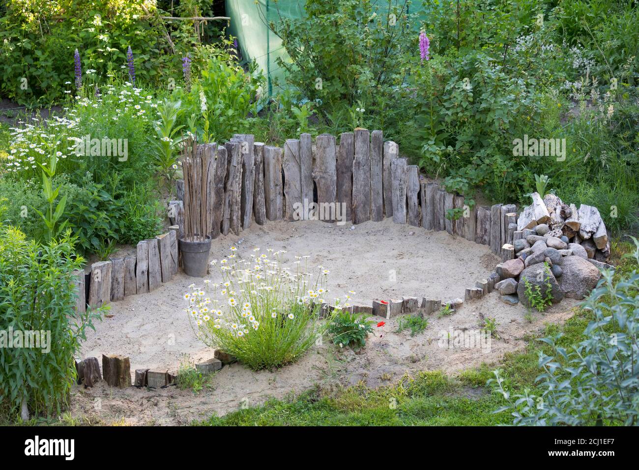 Luogo di allevamento per insetti sulla sabbia in un giardino, Germania Foto Stock