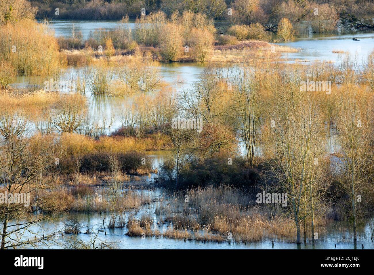 Inondazioni nel vaaley del fiume Aisne, Francia, Aisne, Vouziers Foto Stock