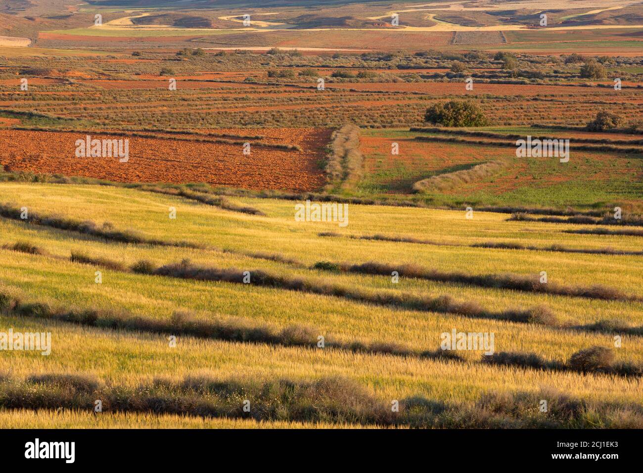 Steppe di Belchite, Spagna, Aragon, El Planeron, Belchite Foto Stock