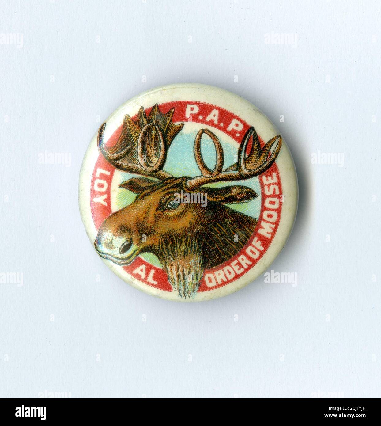 Ordine reale di Moose pin Foto Stock