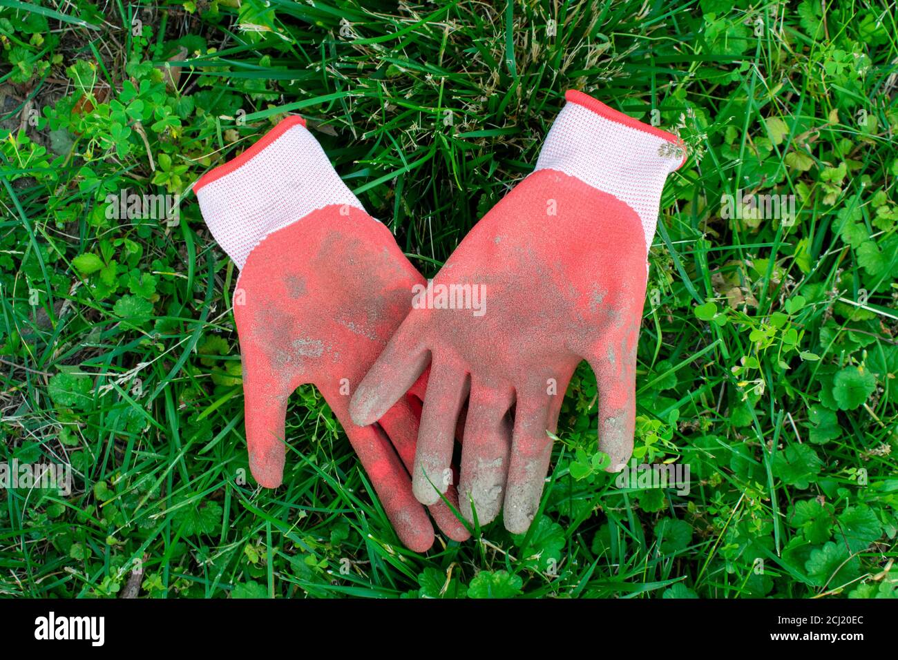 Guanti da giardino rossi usati che si posano in una toppa di verde Erba che riempie il telaio Foto Stock