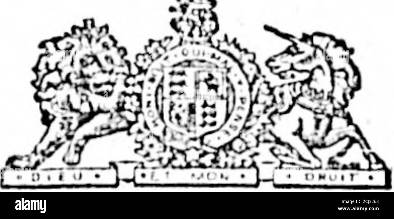 . Daily Colonist (1892-05-23). bor, A.D. 1891.Bop3-TF VTOTICE è dato thailandese è il mio intea-ly zione applicare lotlio Licensing Hoard atibi next sittinK per un trasferimento a James Uollin, di llii; LICCN.! Hold by MO per tbo vendita di vini•e altri formuntod e intossicatinB liquorsupon llio preiiisos noto come WhiteHorau in via Humboldt, in tl&gt;o Città di Vic-toria. Lancio a vapore di John Walsh. Myl3 per vendita o noleggio. THF Btenm lancio ChaUo. Linili, di ICnKliahcal;,feet lonu di (i (taglio fascio; en(,-IIM) andlioilcr u anni. fl-in. HtroUe; ppecd, 7 inilns anh; sniliiblo per iitlit towi Foto Stock