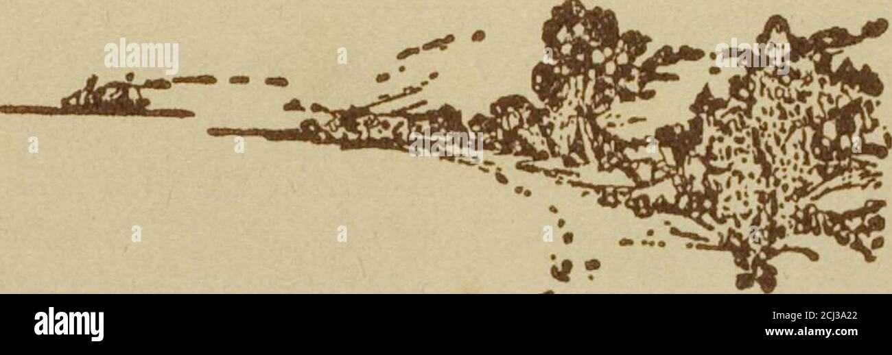 . California Garden, Vol. 9, No. 3, Settembre 1917 . WM. Sig.ra Ida W. Seymour Laura Schiller Sig.ra si. J. Smith Sig.ra J. H. Snyder J. Byers Smith Miss E. B. Scripps Sig. Chas. A. Smith Sig.ra F. S. Sherman Sig.ra Alexander Shaw R. J. Street Wm. Simison Chas. Shurlock Sig.ra Fanny Tracy Sig.ra S. E. Thatcher Sig. Harold A. Taylor Sig.ra L. O. Van Hook R. E. Vandruff Sig.ra Alice Wangenheim Sig.ra Juius Wangenheim V. O. Wallingford Dr. E Sig.ra W.1E. Walsh F. D. Warburton E. White Sig.ra E. White Miss Helen Woods Sig.ra Frank Waite Sig.ra DeWitt Williams Sig.ra J. W. West Sig.ra I. D. Webster Sig. E. L. Will Foto Stock