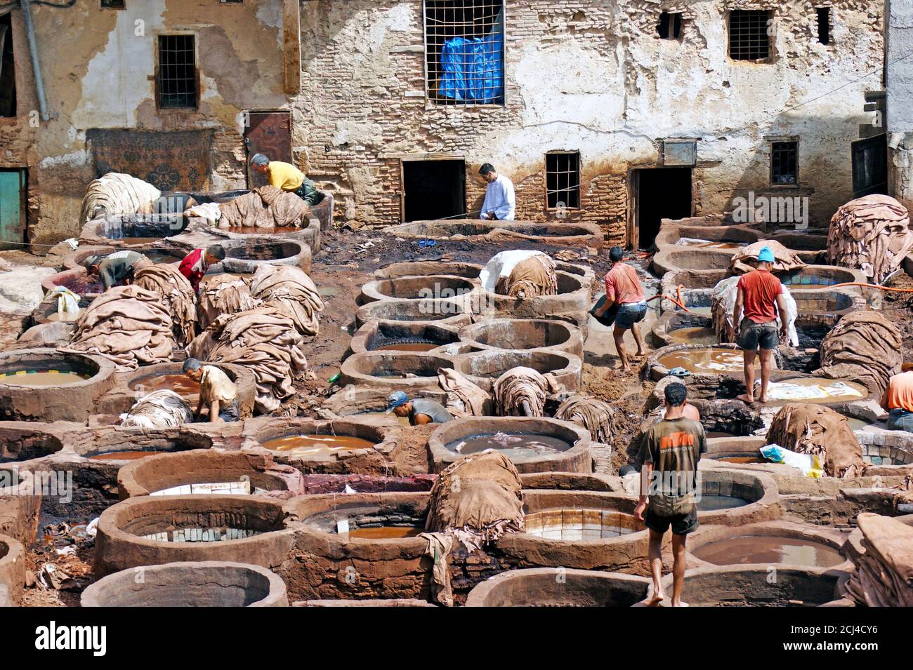 La tintura manuale in pelle nella storica conceria Chouara di Fez, Marocco, è in funzione dal 11 ° secolo. Foto Stock