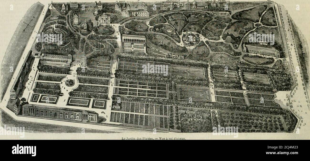 . L'illustrazione : journal universel . le que les moulons don-nent uux hommes. A gauche, nous apercevojis des rennesde la Laponie et des pécaris ; puis, au détour dune allée aubord de laquelle des ruminants aux formes étrangères lèventleurs tètes paisbles, nous apercevons le palais des singes,non moins populaire peut-être que la fosse aux our, et qui nous plait par le contraste, comme le vaudeville aprledro. Le palais des singes est une création nouvelle. Autrefoisla ménagerie ne possédaque nuelqueséchantillons de cellefamille si curieuse et si digne d observation. Aussices indi-mdus Foto Stock