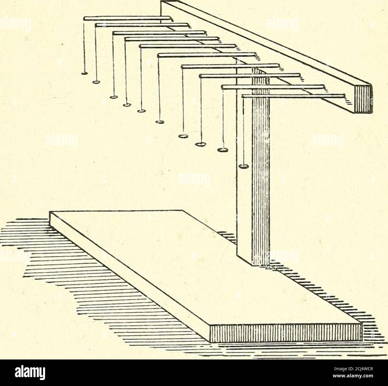 Pensare, sentire, fare . Fig. 56. Attenzione affaticante preparatorio  aipnotismo. CAPITOLO VIII. TOCCARE. Un tocco di sperimententon. Qui è una  fila spesso piccoli dischi, 3 mm di diametro, tagliato da anziano-pith.