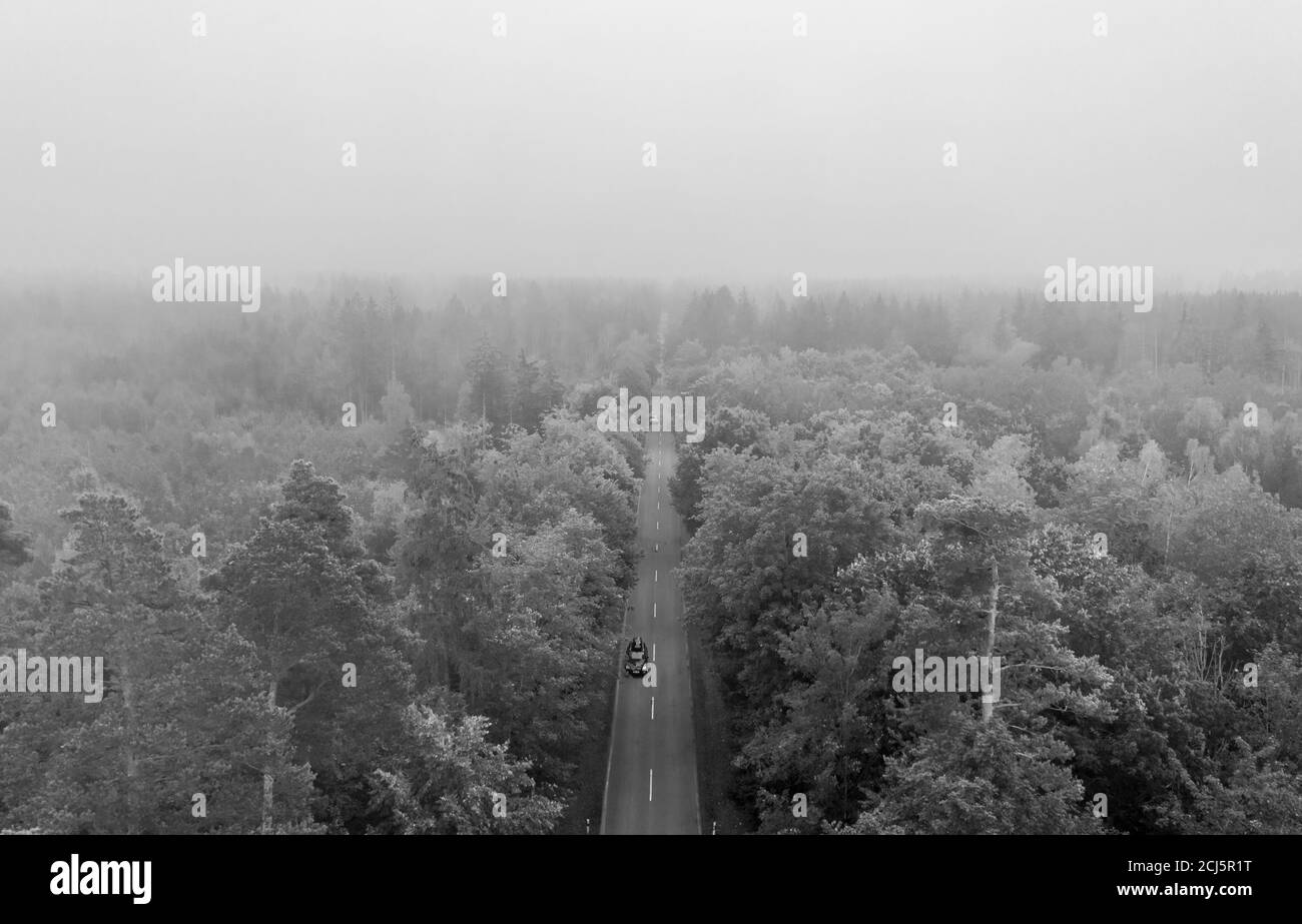 Vista aerea in bianco e nero sul traffico automobilistico su una strada tra una foresta in condizioni di nebbia, bella vista nebbiosa dall'occhio degli uccelli Foto Stock