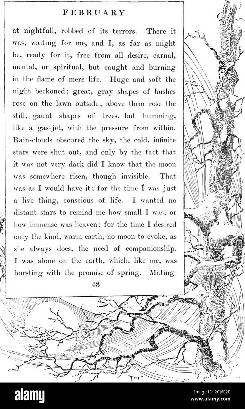 . Il libro dei mesi . ^^yyr. FEBBRAIO alla notte, derubato dei suoi terrori. C'era, aspettandomi, e io, per quanto mighbé, pronto per esso, libero da ogni desiderio, carnale, mentale, spirituale, ma catturato e seppellito nella fiamma della mera vita. Grande e morbido tenera beckoned; grandi forme grigie di bushesrose sul prato esterno; Sopra di loro sorsero stestili, forme gunt di alberi, ma umoranti, come un getto di gas, con la pressione da dentro.Rain-nubi oscurato il cielo, il freddo, infinitestars sono stati chiusi, e solo dal fatto che il thatit non era molto buio ho saputo che la moonwas da qualche parte risorto, t Foto Stock