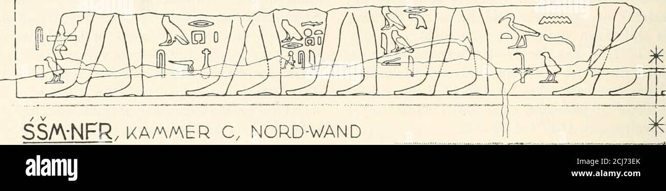 . Gîza : Bericht über die von der Akademie der Wissenschaften in Wien auf gemeinsame Kosten mit Dr. Wilhelm Pelizaeus unternommenen Grabungen auf dem Friedhof des Alten Reiches bei den Pyramiden von Gîza. Vor dem zweiten Träger einNamensrest. als 2. Die Nordwand. (ABB. 85-87 e Taf. 23e.) Auf der westlichen Hälfte der Nordwand warein größerer Rest des untersten Bildstreifens er-halten, über em mit bunten horizontalen Streifenbemalten Sockel. Von fünf Männerfiguren ver-blieben die Unterschenkel bis zu den Knien, undvon vier weiteren haben sich die Füße bis zuden Knöcheln erhalten; anschließe Foto Stock