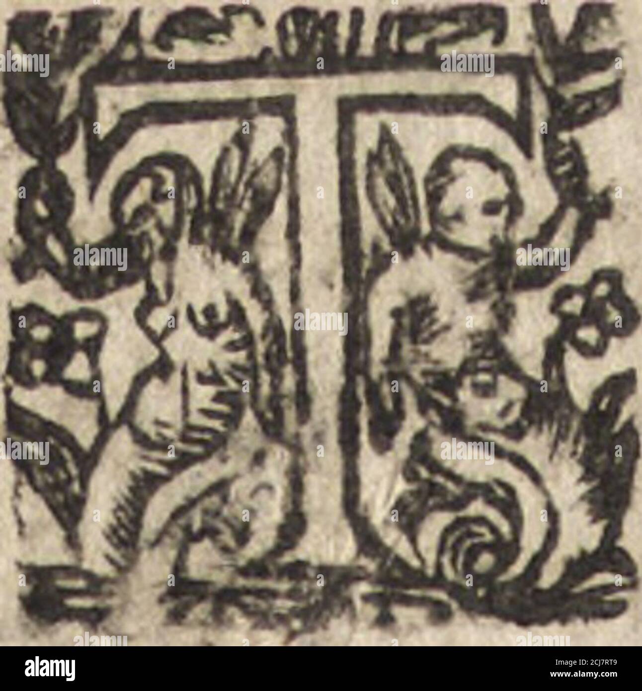 . Le commentaire Royal, ou, l'histoire des Yncas, roys du Peru : contenant leur origine, depuis le Premier Ynca Manco Capac, leur establement, leur idolatrie, leurs sacrifices, leurs vies, leurs loix, leur gouuernement en paix & en guerre ... : ensemble vne descripton particuliere des animaux, des fruicts, des mineraux, des plantes, & des singularitez du païs : oeuure curieuse, & tout à faict necessaire à l'intelligence de l'Histoire des Indes . Yncâs les Camanns alloicnt mal veftus, & prequctous fiudi, honi-îiies ôc femmes, horrfmis quils (ccouuroient les parties hontcufes dVne manière Foto Stock